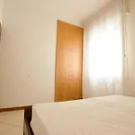 12 Accesso - Immobiliare *